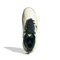 Męskie buty tenisowe adidas Solematch Control 2 White/Silver