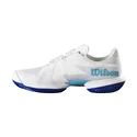 Męskie buty tenisowe Wilson Kaos Swift 1.5 Clay White/Blue