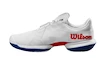 Męskie buty tenisowe Wilson Kaos Swift 1.5 White/Deja Vu Blue