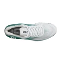 Męskie buty tenisowe Wilson Rush Pro 4.0 Clay White/Green