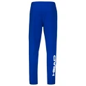 Męskie spodnie dresowe Head  Club Byron Pants Men Royal