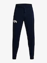 Męskie spodnie dresowe Under Armour  Rival Flc WM Jogger-NVY