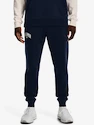 Męskie spodnie dresowe Under Armour  Rival Flc WM Jogger-NVY L