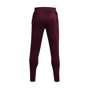 Męskie spodnie dresowe Under Armour  Terry Pant Red XL