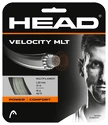 Naciąg tenisowy Head  Velocity (12 m)