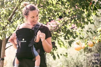 Nosidełko Little Life  Acorn Baby Carrier