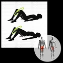 Obręcz do ćwiczeń mięśni Schildkröt  Pilates Ring