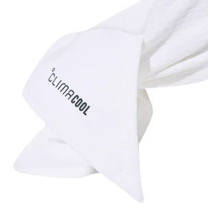 Opaska na głowę adidas  Tennis Tieband White/Green