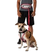 Pas do biegania Nathan K9 Series Runner's Waistpack With Leash