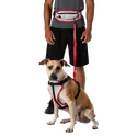 Pas do biegania Nathan K9 Series Runner's Waistpack With Leash