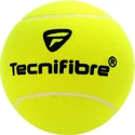 Piłka tenisowa Tecnifibre  Giant Promo Ball
