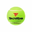 Piłki tenisowe Tecnifibre  X-One (4 szt)