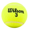 Piłki tenisowe Wilson  Championship (4ks)