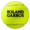 Piłki tenisowe Wilson  Roland Garros All Court (4 Pack)