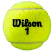 Piłki tenisowe Wilson  Roland Garros All Court (4 Pack)