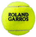 Piłki tenisowe Wilson  Roland Garros All Court (4 Pack)