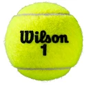 Piłki tenisowe Wilson  Roland Garros All Court (4 Pack)