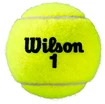 Piłki tenisowe Wilson  Roland Garros Clay (3 szt)