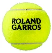 Piłki tenisowe Wilson  Roland Garros Clay (4 szt)