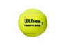 Piłki tenisowe Wilson  Triniti Pro (4 szt)