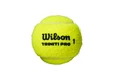 Piłki tenisowe Wilson  Triniti Pro (4 szt)