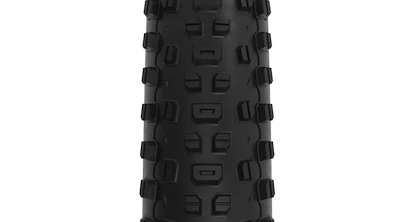 Płaszcz WTB  Ranger 2.4x29" TCS Light/Fast Rolling SG2