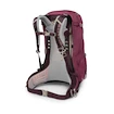 Plecak damski OSPREY SIRRUS 34 elderberry purple/chiru tan