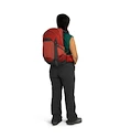 Plecak damski OSPREY Tempest  22 deep fig/hotspot pink