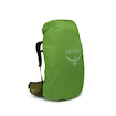 Plecak męski OSPREY ATMOS AG LT 65 scenic valley/green peppercorn