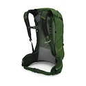 Plecak męski OSPREY Stratos 24 seaweed/matcha green