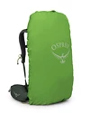 Plecak OSPREY Kestrel 38 Bonsai Green L/XL