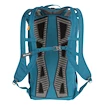 Plecak Salewa  Firepad 25 BP