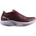 Preizkušeno -  Męskie buty do biegania Salomon Phantasm Biking Red/Purple Heart  UK 10,5