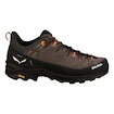 Preizkušeno -  Męskie buty outdoorowe Salewa  Alp Trainer 2 Bungee Cord/Black  UK 8,5