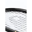 Rakieta do squasha Head  Graphene 360+ Speed 120 SB