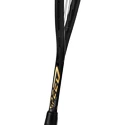Rakieta do squasha Head  Graphene 360+ Speed 120 SB