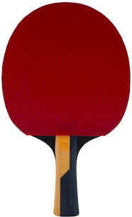 Rakietka do tenisa stołowego Butterfly  Boll Carbon