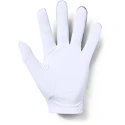Rękawice męskie Under Armour  Medal Golf Glove grey LLG