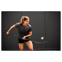 Spodenki damskie Bauer  WMNS Team Train Short Black
