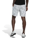 Spodenki męskie adidas  Club Graphic Short White