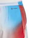 Spodenki męskie adidas  Melbourne Ergo Printed Shorts White/Red