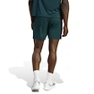 Spodenki męskie adidas  Tennis Climacool Ergo Shorts Aurora Ivy