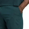 Spodenki męskie adidas  Tennis Climacool Ergo Shorts Aurora Ivy