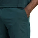 Spodenki męskie adidas  Tennis Climacool Ergo Shorts Aurora Ivy