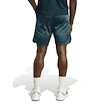 Spodenki męskie adidas  Tennis Pro Climacool Ergo Shorts Aurora Ivy