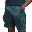 Spodenki męskie adidas  Tennis Pro Climacool Ergo Shorts Aurora Ivy