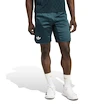 Spodenki męskie adidas  Tennis Pro Climacool Ergo Shorts Aurora Ivy