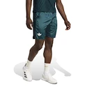 Spodenki męskie adidas  Tennis Pro Climacool Ergo Shorts Aurora Ivy