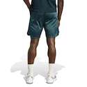 Spodenki męskie adidas  Tennis Pro Climacool Ergo Shorts Aurora Ivy