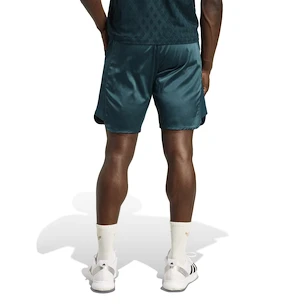 Spodenki męskie adidas  Tennis Pro Climacool Ergo Shorts Aurora Ivy